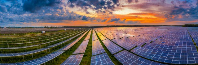 Business Registration Services